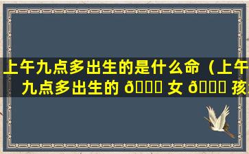 上午九点多出生的是什么命（上午九点多出生的 🐅 女 🐋 孩怎么样）